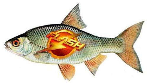 Flash gardons