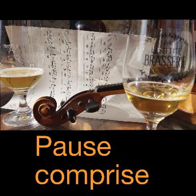 Pause comprise